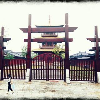 梦醒了，荒芜了一生——南山南(马頔)