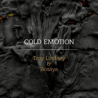 Troy Lindsey & Bosaya "Cold Emotion"