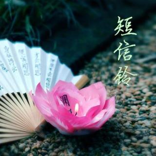 【短信】一月花。帝王