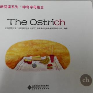 04.攀登英语神字母组合ch The Ostrich	鸵鸟的午餐