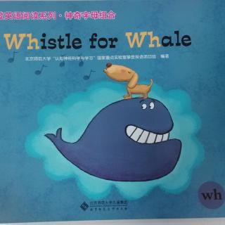 26.神奇字母组合wh  Whistle for Whale沃利和鲸鱼