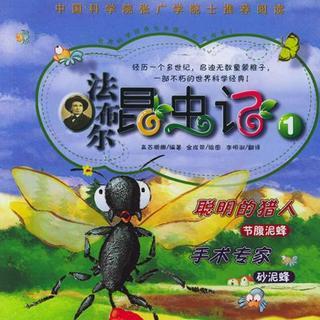 聪明的猎人节腹泥蜂—法布尔昆虫记1