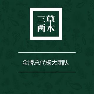 杨大团队-三草两木招商课