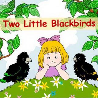 【律动诗6、游戏/4初级】Two Little Black Birds (小何老师）