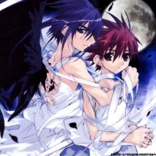 宫本骏一白夜truelight天使怪盗op