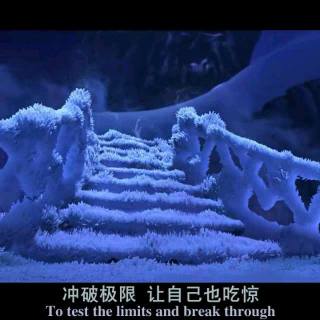 Frozen1