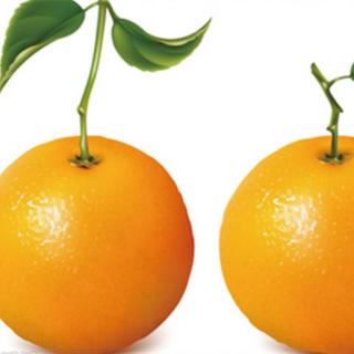 当苹果遇见橘子——糯米