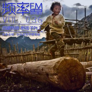 频率FM36：西藏特辑-野孩子Pt.2