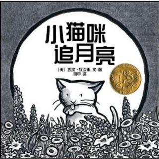 《小猫咪追月亮》