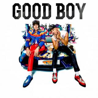 Good_Boy & 新单_DjMr舞 Mix