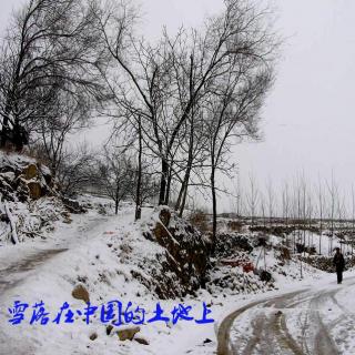 雪落在中国的土地上