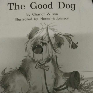 The Good Dog～Level D