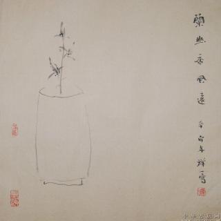 《中年》作者 梁实秋   朗诵 叶儿