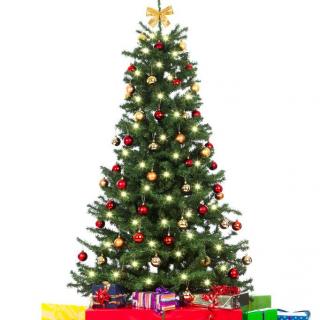 【艾玛唱童谣】Oh Christmas Tree