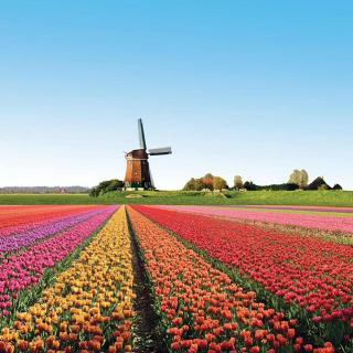 第廿八期：敞开胸怀的尼德兰，荷兰High起来！