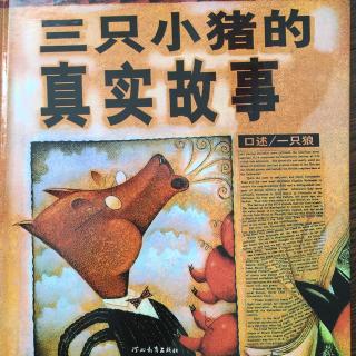 《三只小猪的真实故事》