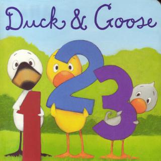 15.03.05 Duck & Goose 1 2 3