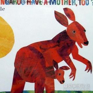 【原声】Does a kangaroo have a mother too?