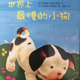 《世界上最慢的小狗》粤语