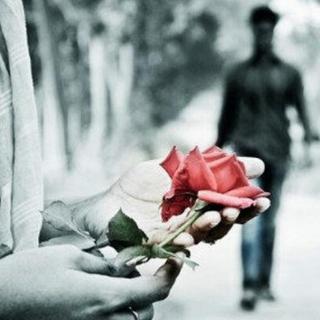 第12期 | 乞丐与玫瑰的故事