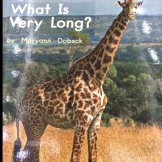 what is very long?