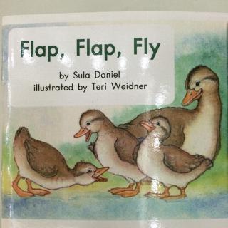 Flap flap fly