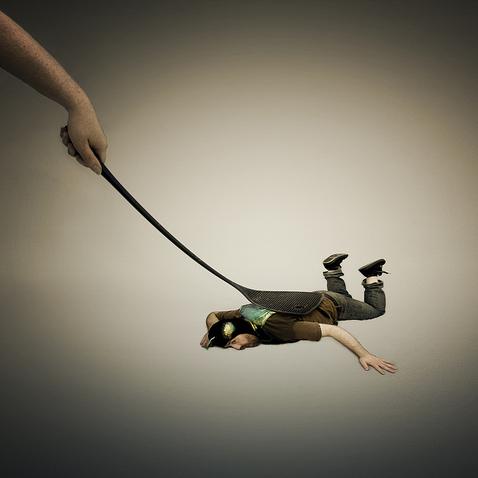 shoo fly - dolphin & sunny 版