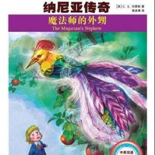 纳尼亚传奇——魔法师的外甥 1-1 英文版