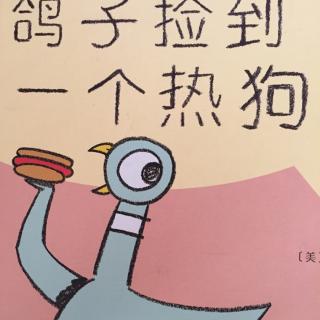 《鸽子捡到一个热狗-》