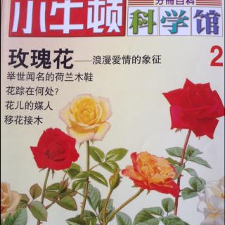 小牛顿科学馆2-玫瑰花