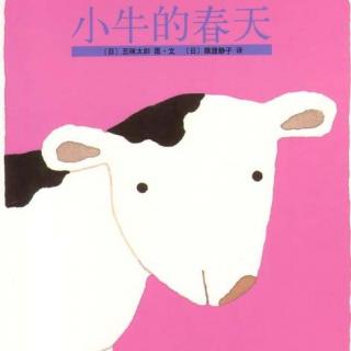 【春田电台】空中绘本第146期——《小牛的春天》