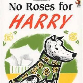 《哈利的花毛衣》No Roses for Harry 附原文