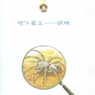 地下毒王狼蛛1-法布尔昆虫记6