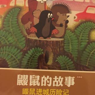 鼹鼠进城历险记