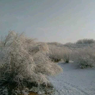 《活  着》