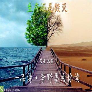 《生存还是毁灭》一品诗·李野墨为你读013