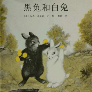 《黑兔和白兔》