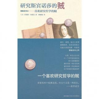 《研究斯宾诺莎的贼-05》劳伦斯•布洛克雅贼系列第四部，演播:李