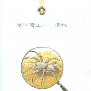 地下毒王狼蛛2—法布尔昆虫记7