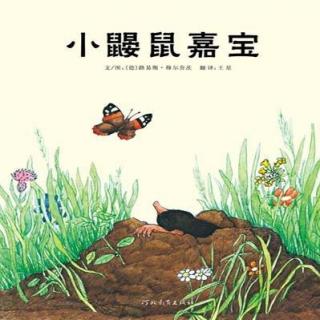 绘本《小鼹鼠嘉宝》