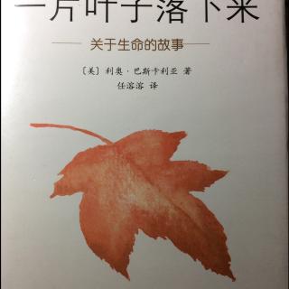 【陈默读书】021《一片叶子落下来》