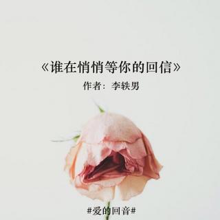 【爱的回音】谁在悄悄等你的回信