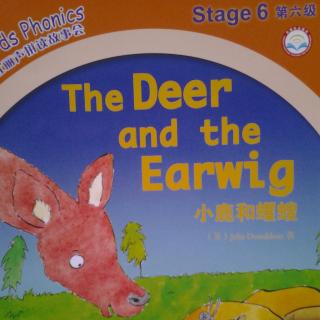 丽声绘本故事《The Deer and the Earwig》