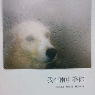 我在雨中等你