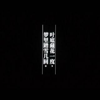 光影故事—《一代宗师》