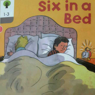 1-3《Six in a bed》Mum