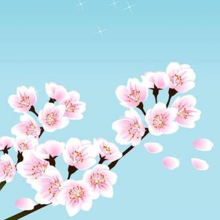 【Travel】🌸2015春季日本赏樱sakura