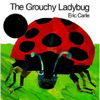 3月30日 The Grouchy Ladybug