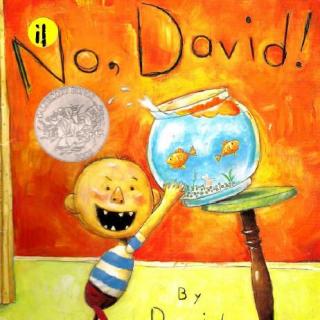 【磨耳朵喽】大卫系列《No,David!大卫不可以》