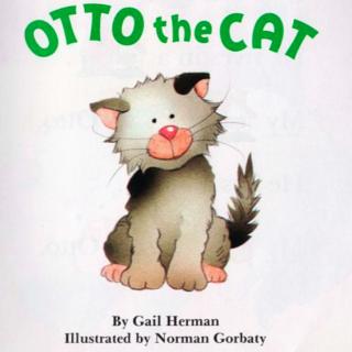 6. Otto the Cat